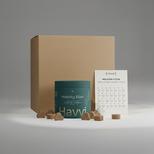 Mobility Elixir