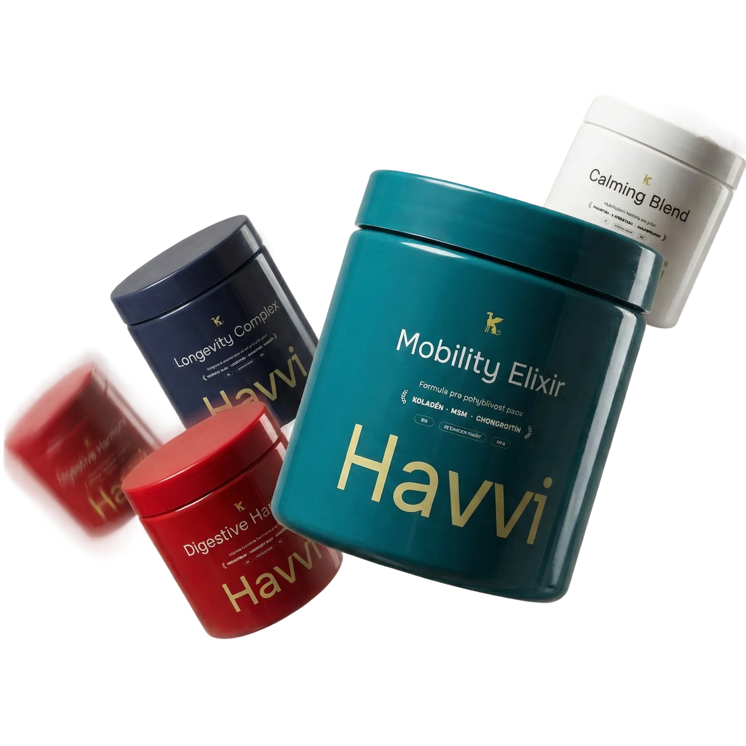 Jednoduchý spôsob, ako podporiť vášho psa každý deň