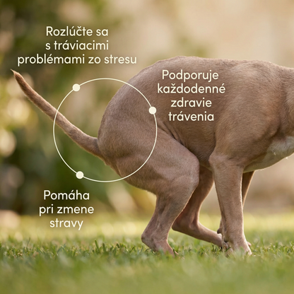 The Golden™ Srsť, ako z rozprávky