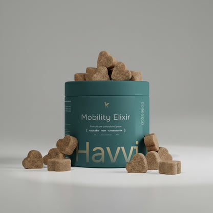 Mobility Elixir