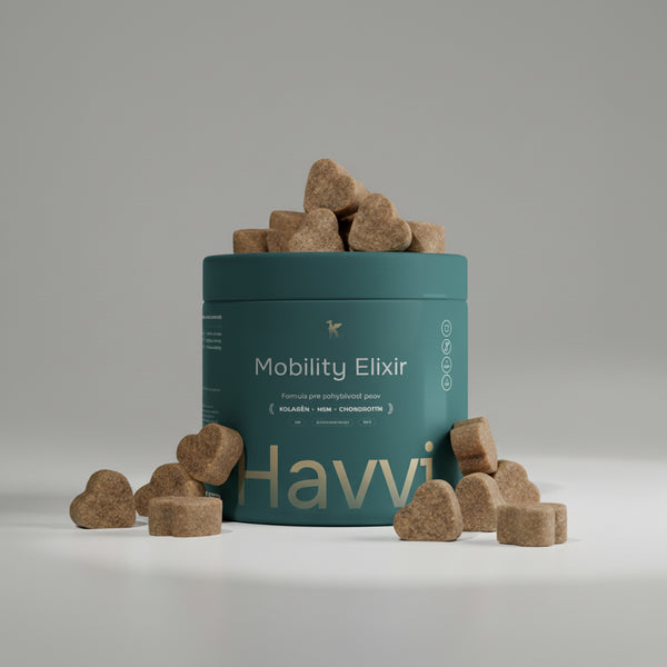 Mobility Elixir